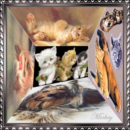 cadre animal